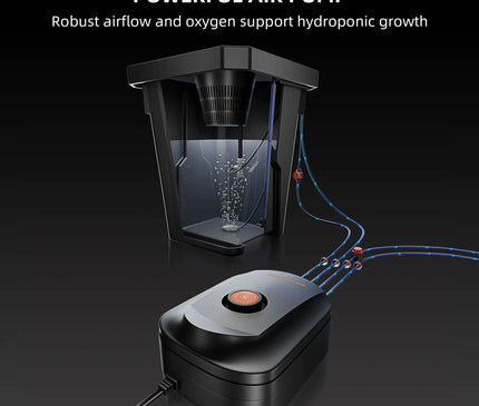 Spider Farmer DWC-System Detailansicht - Tiefwasserkultur mit Luftpumpe und Luftsteinen
Spider Farmer DWC-System Detailansicht - Tiefwasserkultur mit Luftpumpe und Luftsteinen