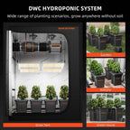 Spider Farmer 4 Töpfe DWC- Hydroponik System mit Top-Drip-Kit