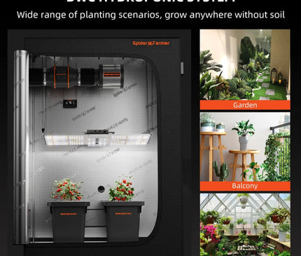 Spider Farmer DWC-System in Aktion - Professionelle Tiefwasserkultur für gesunde Pflanzen