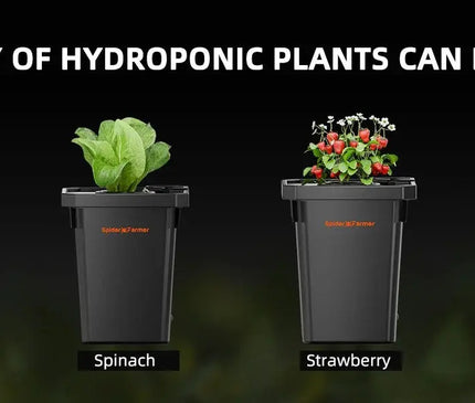 Spider Farmer DWC-Hydroponik System 2x7 Gallonen Tiefwasserkultur - organic-design.com