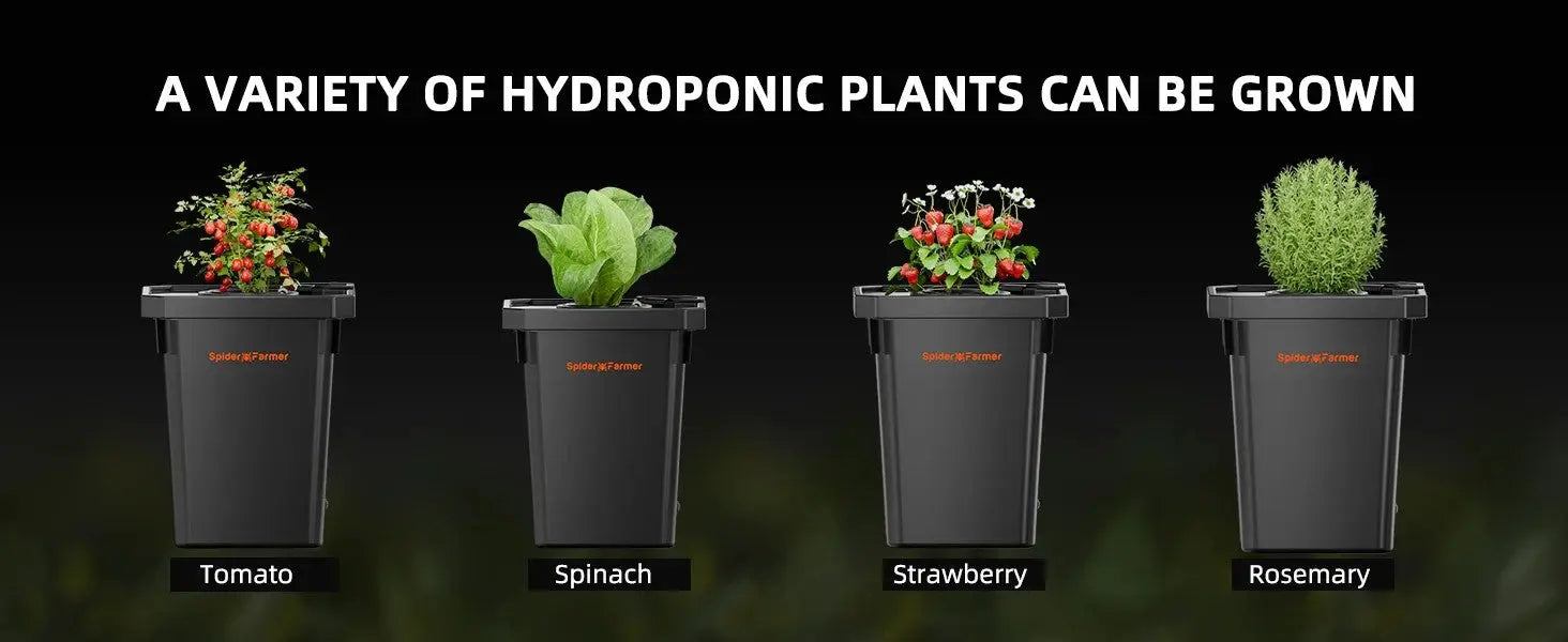 Spider Farmer DWC-Tiefwasserkultur Hydroponik System mit Top-Drip-Kit, 4x7 Gallonen DWC, 4 Eimer - organic-design.com