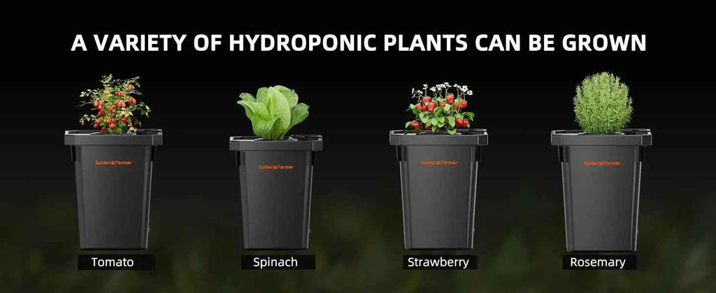 Spider Farmer 4 Töpfe DWC- Hydroponik System mit Top-Drip-Kit