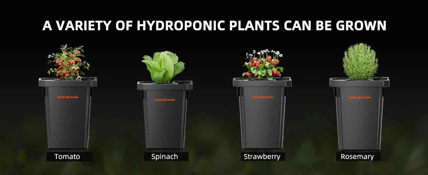 Spider Farmer 4 Töpfe DWC- Hydroponik System mit Top-Drip-Kit