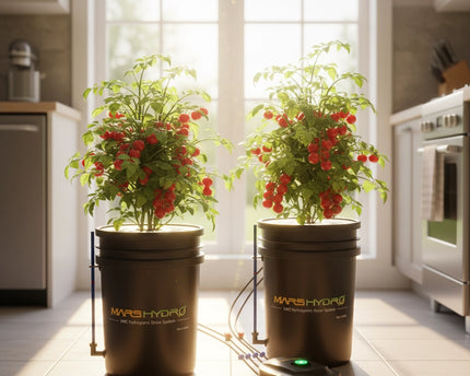 Mars Hydro DWC Hydroponik-Systemkit mit 2 Eimern