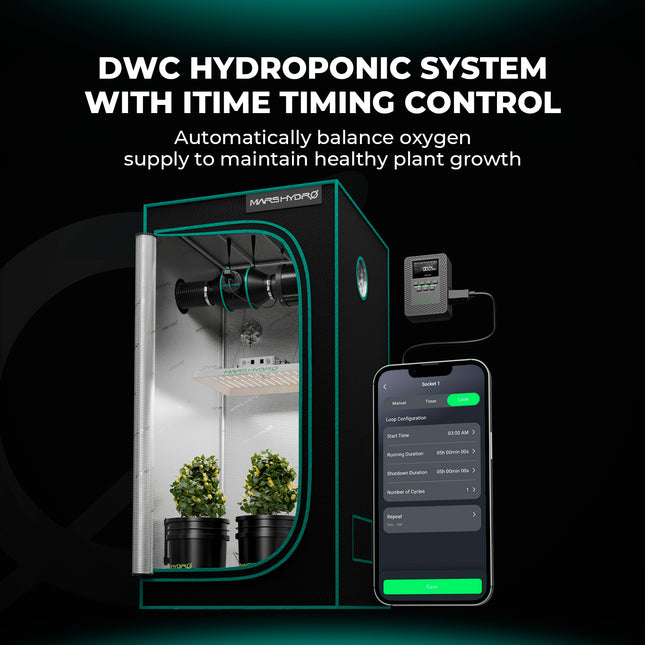 DWC Hydroponik System mit Timer-Steuerung für automatische Bewässerung