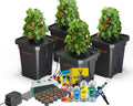 Einsteiger Sorglos Paket mit SpiderFarmer DWC 4 Töpfe