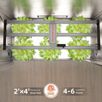 Gesunde Pflanzen unter Spider Farmer G4500 LED-Vollspektrum-Beleuchtung