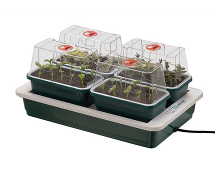 Aufzuchtstation mini beheizt 4 Mini-Gewächshäuser 38x24x15cm Pflanzenanzucht Samenkeimung Indoor Growing