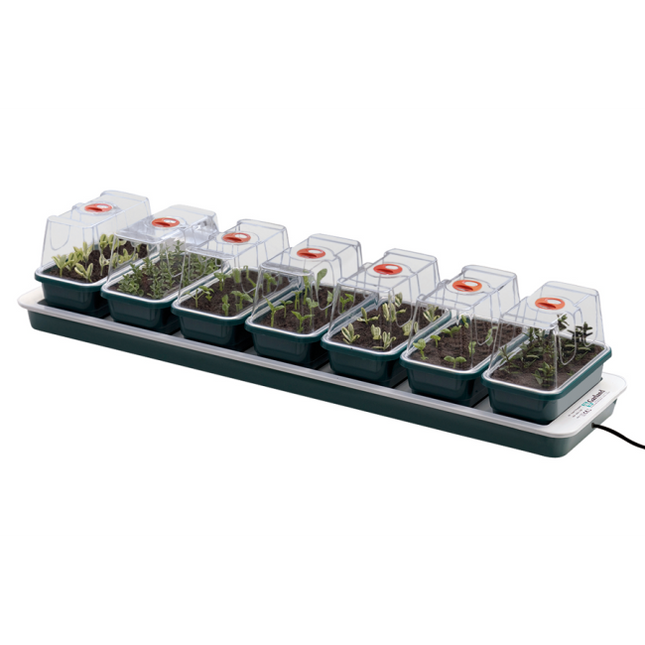 Garland Aufzuchtstation beheizt 76x18,5x15cm - Längliche Anzuchtschale für Fensterbank mit Heizung