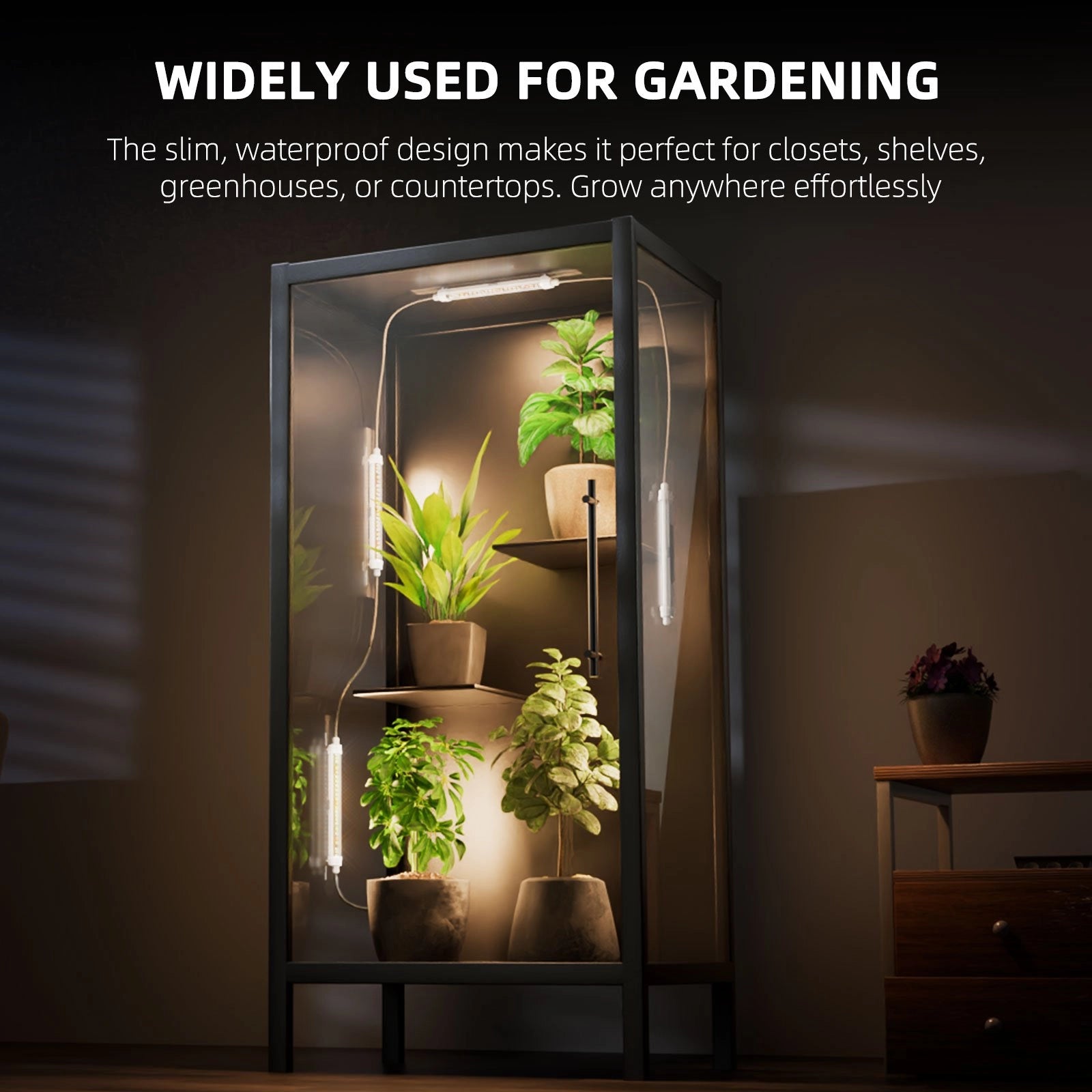 Spider Farmer Glow30-Full-Spectrum Pflanzenlicht im Regal