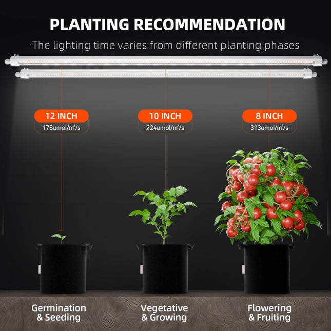 Spider Farmer® Glow80 Pflanzabstand-Empfehlung - Optimale Abdeckung für gesundes Wachstum