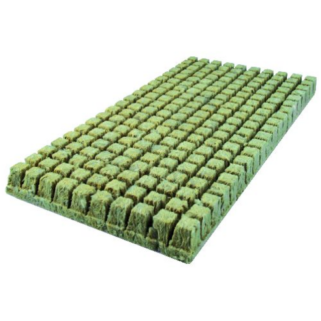 Grodan Anzuchtblöcke AO 25/40 Nachfüllung 30 Stück SBS-System Steinwolle Hydroponik professionell