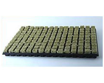 Grodan Anzuchtmatte SBS 25/150 Steinwolle 150 Anzuchtwürfel Plastikuntersatz Hydroponik professionell