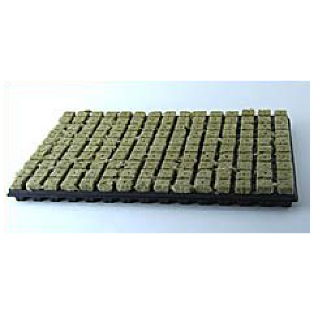 Grodan Anzuchtmatte SBS 25/150 Steinwolle 150 Anzuchtwürfel Plastikuntersatz Hydroponik professionell