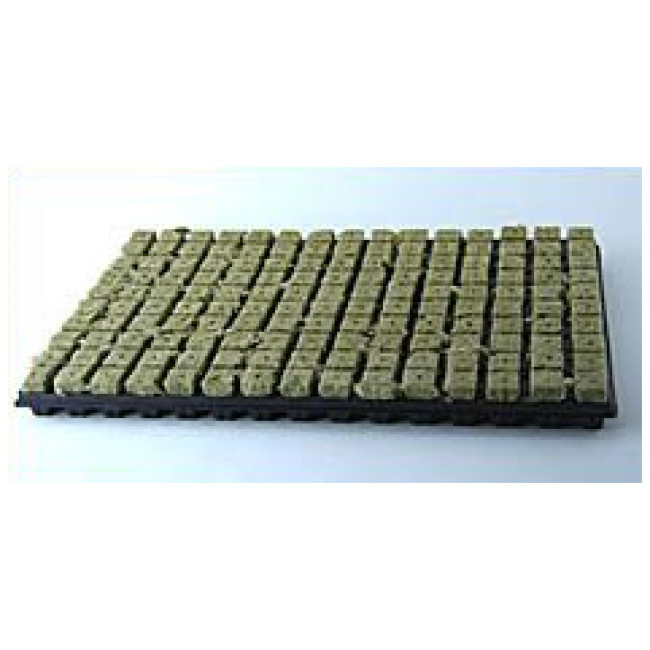 Grodan Anzuchtmatte SBS 25/150 Steinwolle 150 Anzuchtwürfel Plastikuntersatz Hydroponik professionell
