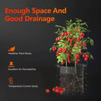Spider Farmer Grow-Bags Vorteile - Hervorragende Drainage und Wurzelbelüftung für gesundes Wachstum