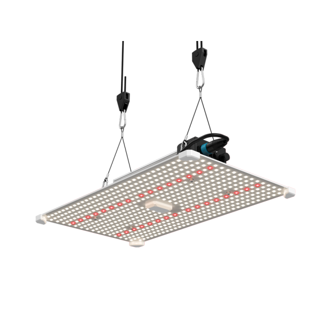 LUMii Black Blade 200 W dimmbare Vollspektrum-LED