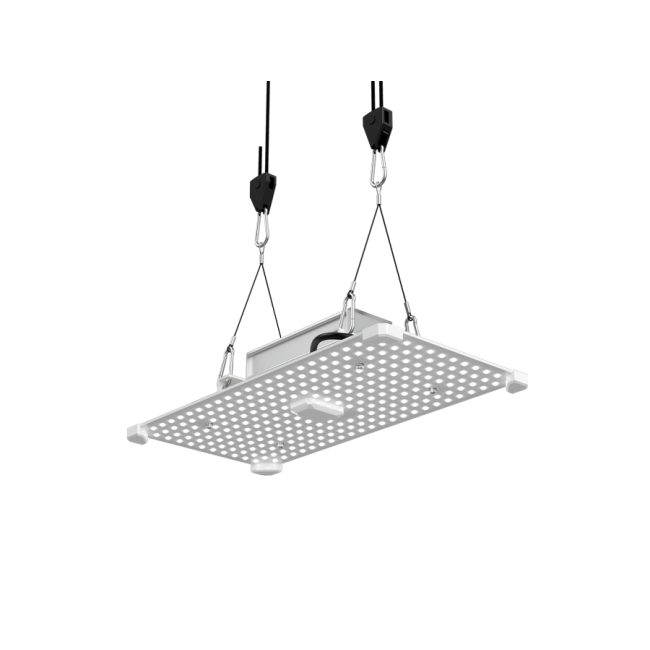 LUMii Black Blade 100 W LED für Anzucht und Wachstum