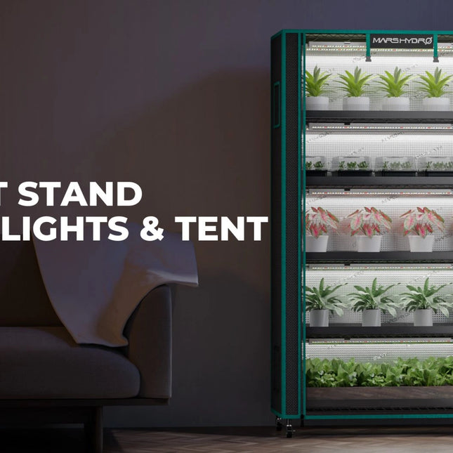 Mars Hydro 6 -Tier-Pflanzenregal mit 250-W-LED-Wachstumslichtern