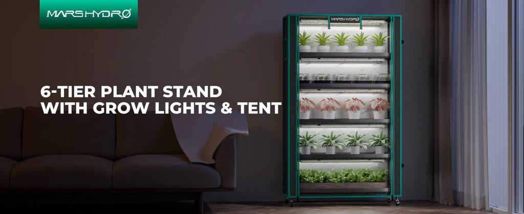 Mars Hydro Anzucht- & Pflanzenregal 5 Etagen LED / Größe L