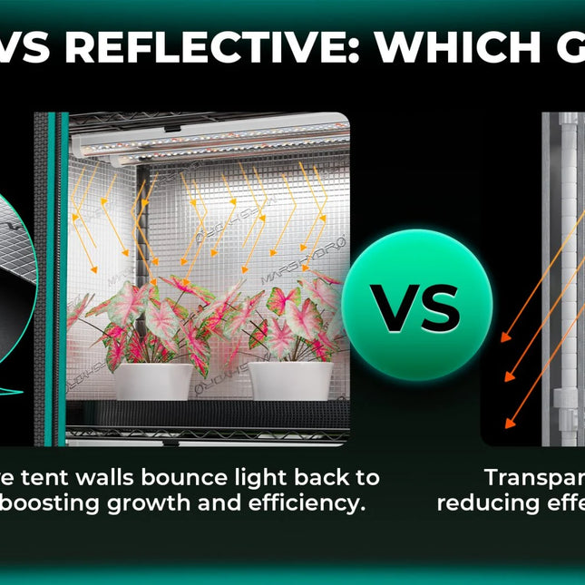 Mars Hydro 6 -Tier-Pflanzenregal mit 250-W-LED-Wachstumslichtern Vorteile mit Zelt