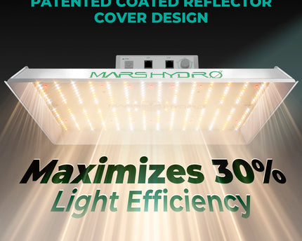 Mars Hydro TS 1000 Growbox Komplettset 80x80x160cm mit 150W LED