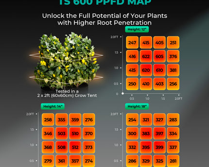 Mars Hydro TS 600 Growbox Komplettset
