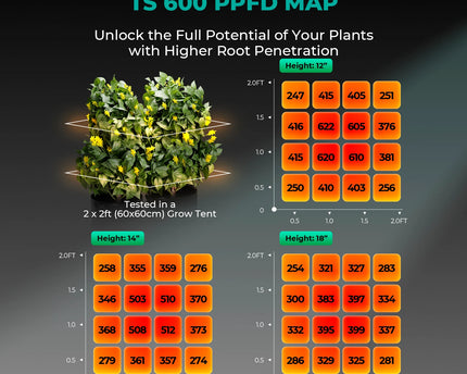 Mars Hydro TS 600 Growbox Komplettset - organic-design.com