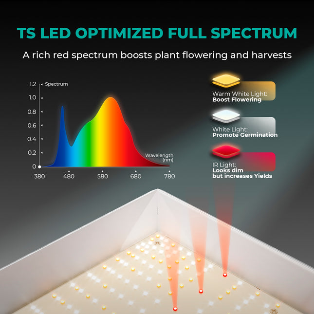 Mars Hydro TS 600 Growbox Komplettset - organic-design.com