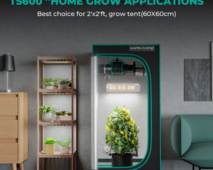 Mars Hydro TS 600 Growbox Komplettset - organic-design.com