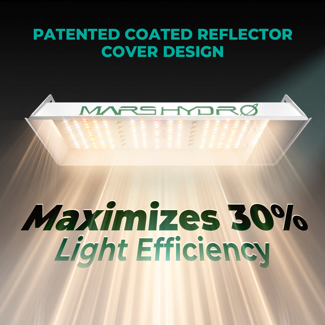 Mars Hydro TS 600 Growbox Komplettset - organic-design.com