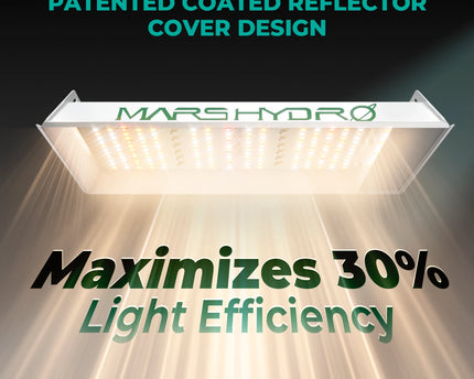 Mars Hydro TS 600 Growbox Komplettset - organic-design.com