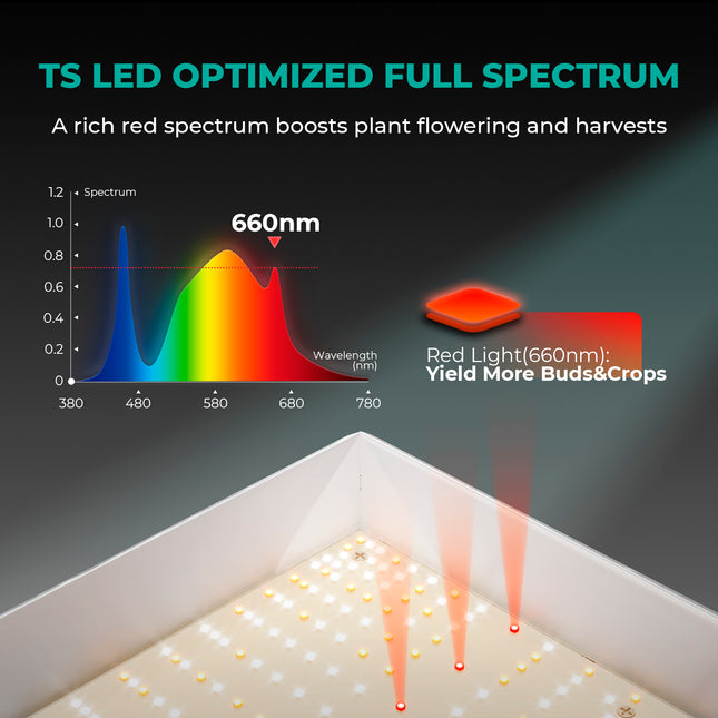 Mars Hydro TS 1000 Growbox Komplettset - organic-design.com