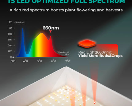 Mars Hydro TS 1000 Growbox Komplettset 80x80x160cm mit 150W LED