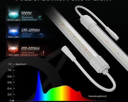 Mars Hydro VG80 Vollspektrum LED - 5000K, 450nm, 650nm für optimales Pflanzenwachstum