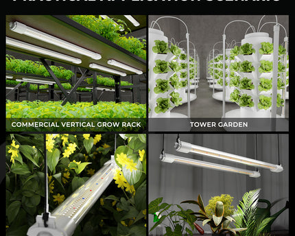 Mars Hydro VG80 Anwendungsszenarien - Perfekt für Anzucht, Wachstum und Hydroponik