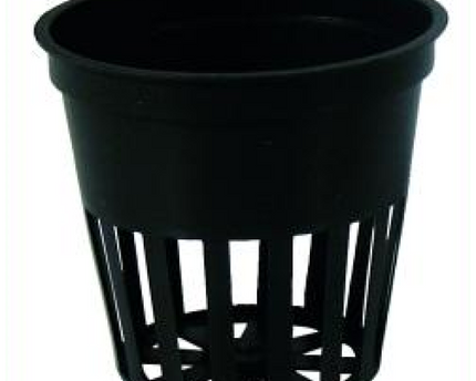 Netztopf, schwarz, ø 5 cm Ideal zum Bewurzeln von Stecklingen für hydroponische Systeme