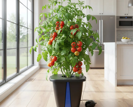 PLANT!T aeros I-System mit Belüftungspumpe