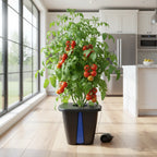 PLANT!T aeros I DWC-System mit Belüftungspumpe