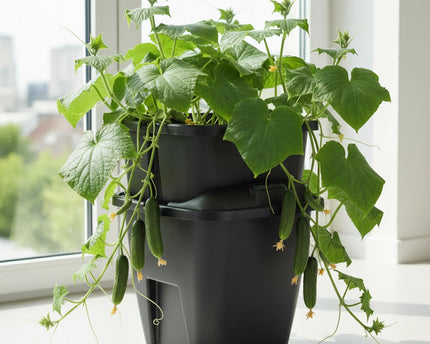 PLANT!T gemini System mit Wasserpumpe