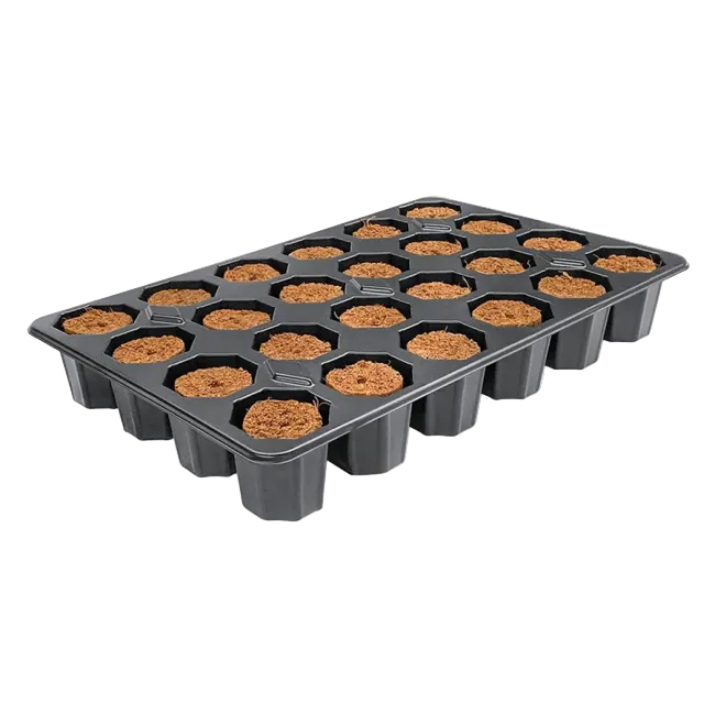 ROOT!T Anzuchtwürfel, torffrei, Tray mit 24 Stück