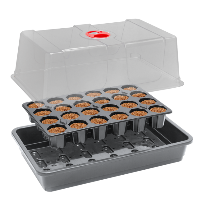 ROOT!T Anzucht-Set Komplett 24 Pflanzen Mini-Gewächshaus torffrei Kokosfaser Garland UK