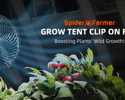 Ventilator 6" Clip - smart