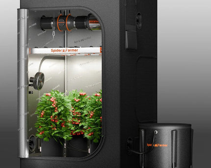 Automatisches Tropfbewässerungssystem für Pflanzen, Wasserpumpe mit 8 Tropfdüsen - organic-design.com