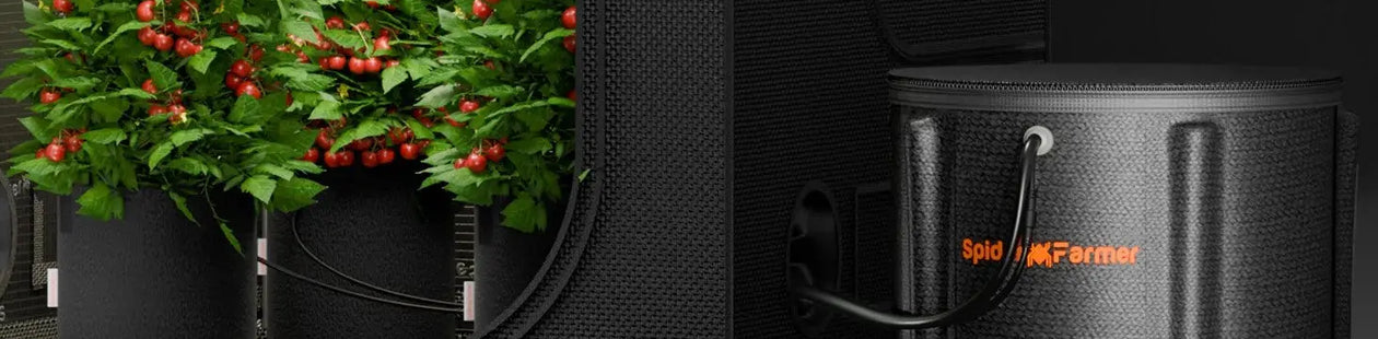 Automatisches Tropfbewässerungssystem für Pflanzen, Wasserpumpe mit 8 Tropfdüsen - organic-design.com