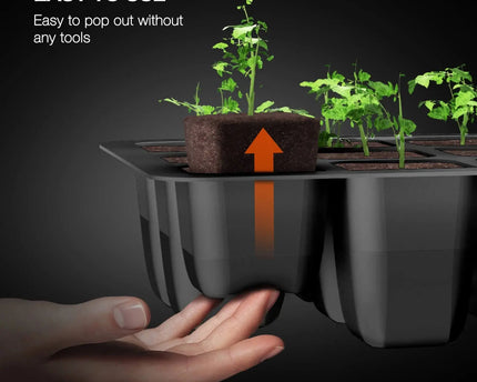 Spider Farmer Anzucht-Set Anwendung - Einfache Handhabung für Anfänger und Profis