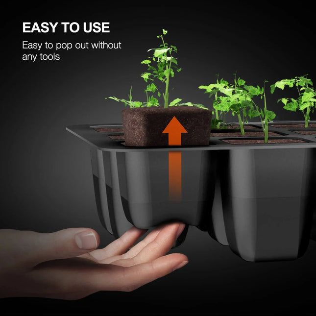 Spider Farmer Anzucht-Set Anwendung - Einfache Handhabung für Anfänger und Profis