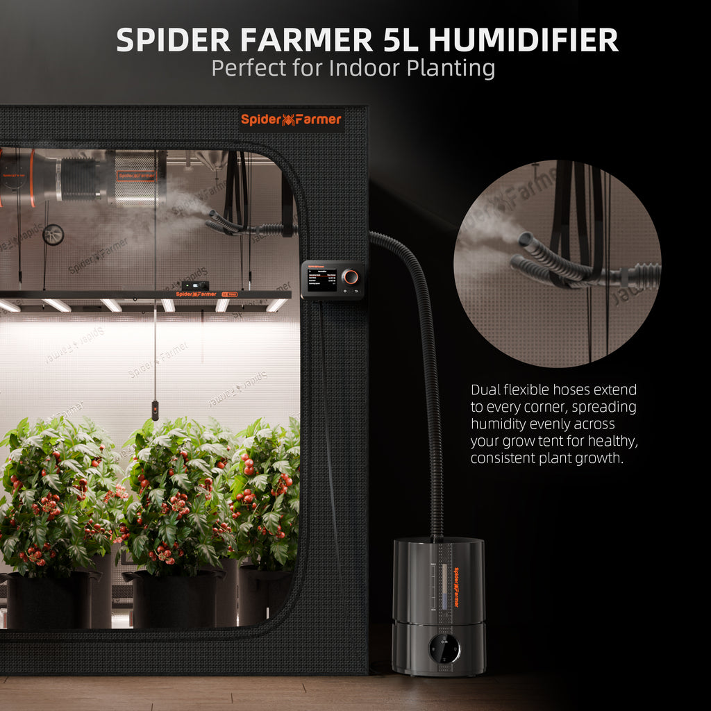 Spider Farmer 5L Luftbefeuchter schwarz - Ultraschall Kaltnebel mit Digitalanzeige