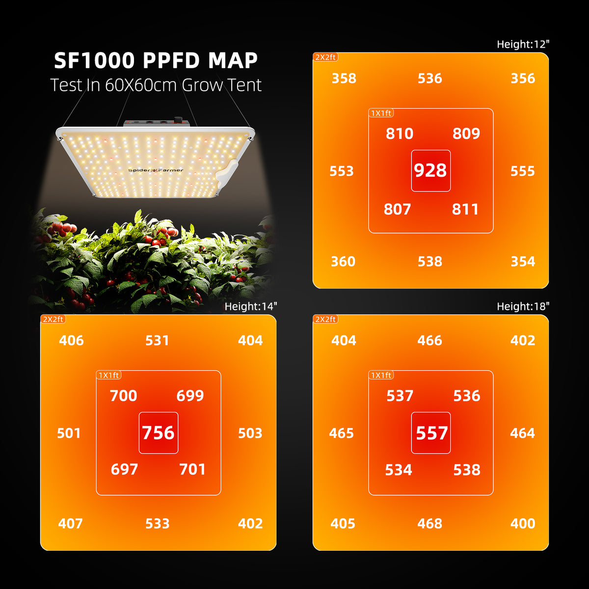 PPFD-Karte der Spider Farmer SF1000 100W Bridgelux LED bei 30 cm Abstand