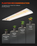 Spider Farmer SF300 33W LED-Pflanzenlampe Vorschlag Pflanzenstadium